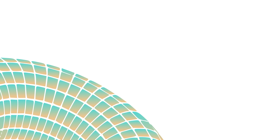Top left decoration